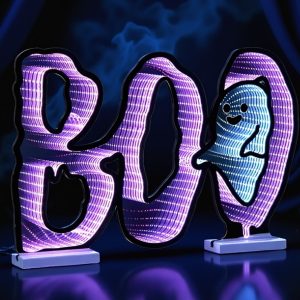 BOO/Ghost Ekkolight 23.5"L x 16"H Acrylic UL Plug