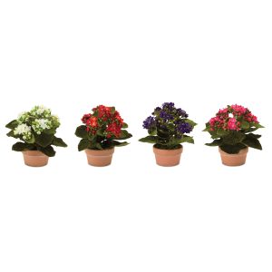 Kalanchoe w/Pot (Set of 4) 7"H Polyester