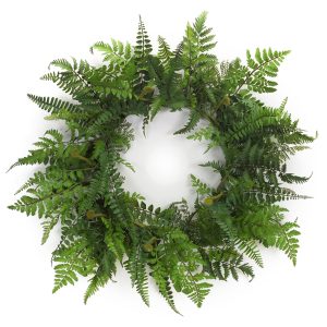Fern Wreath 24"D Plastic