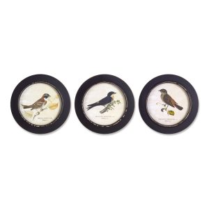 Framed Bird Print (Set of 3) 9.5"D MDF