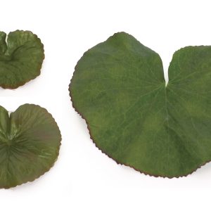 Bag of 34 Leaves (Set of 12) 3", 5" Polyester