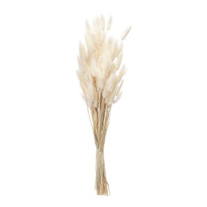Bunny Tail Bundle (Set of 2) 32.5"H Natural