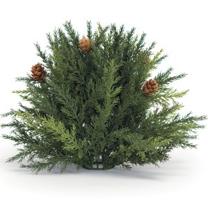 Arborvitae Half Orb 8.5"D Plastic