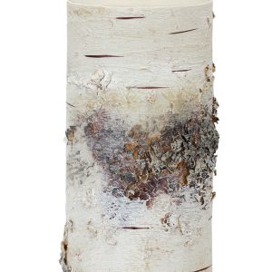 LED Birch Candle 3.5"D x 7"H (with Remote)