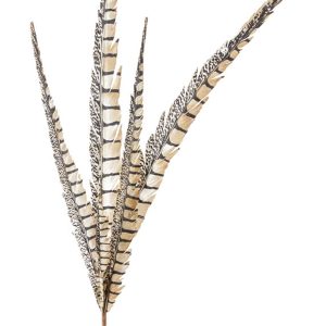 Faux Feather 29"H (Set of 12) Polyester