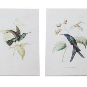 Hummingbird Print (Set of 4) 5.5"L x 8"H Wood/MDF/Paper