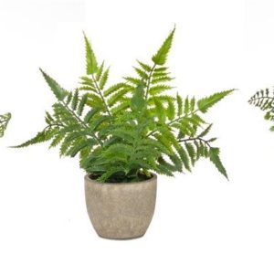 Potted Fern (Set of 3) 9.5"H Plastic
