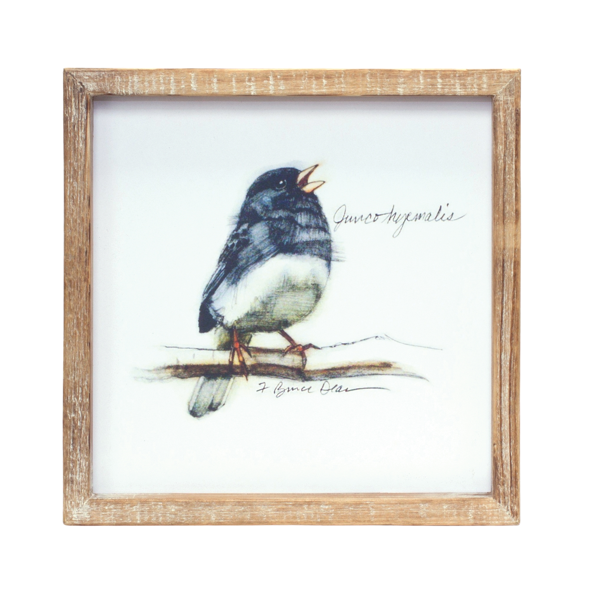 Framed Bird Print (Set of 4) 9.5"SQ MDF/Wood - Image 2