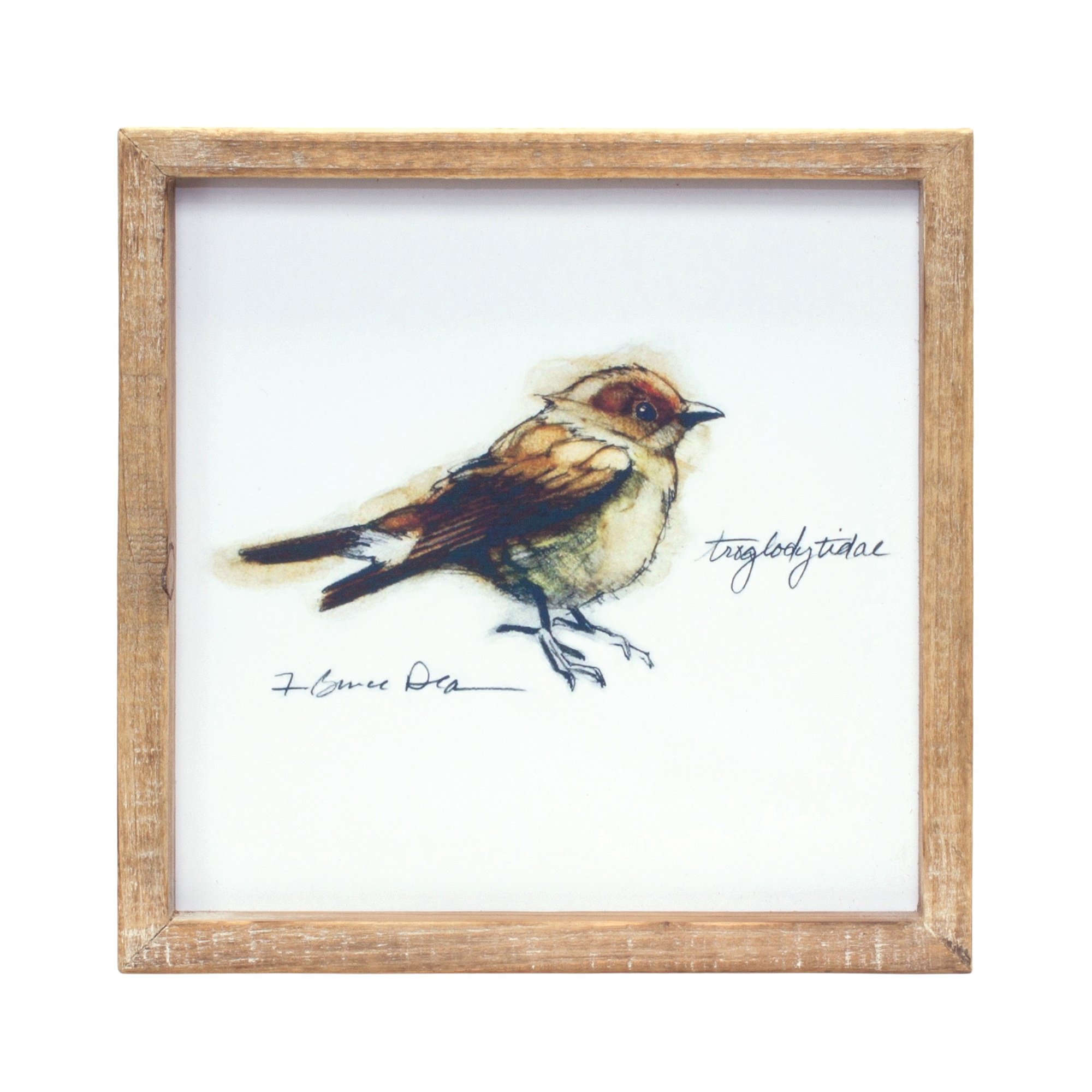 Framed Bird Print (Set of 4) 9.5"SQ MDF/Wood - Image 4