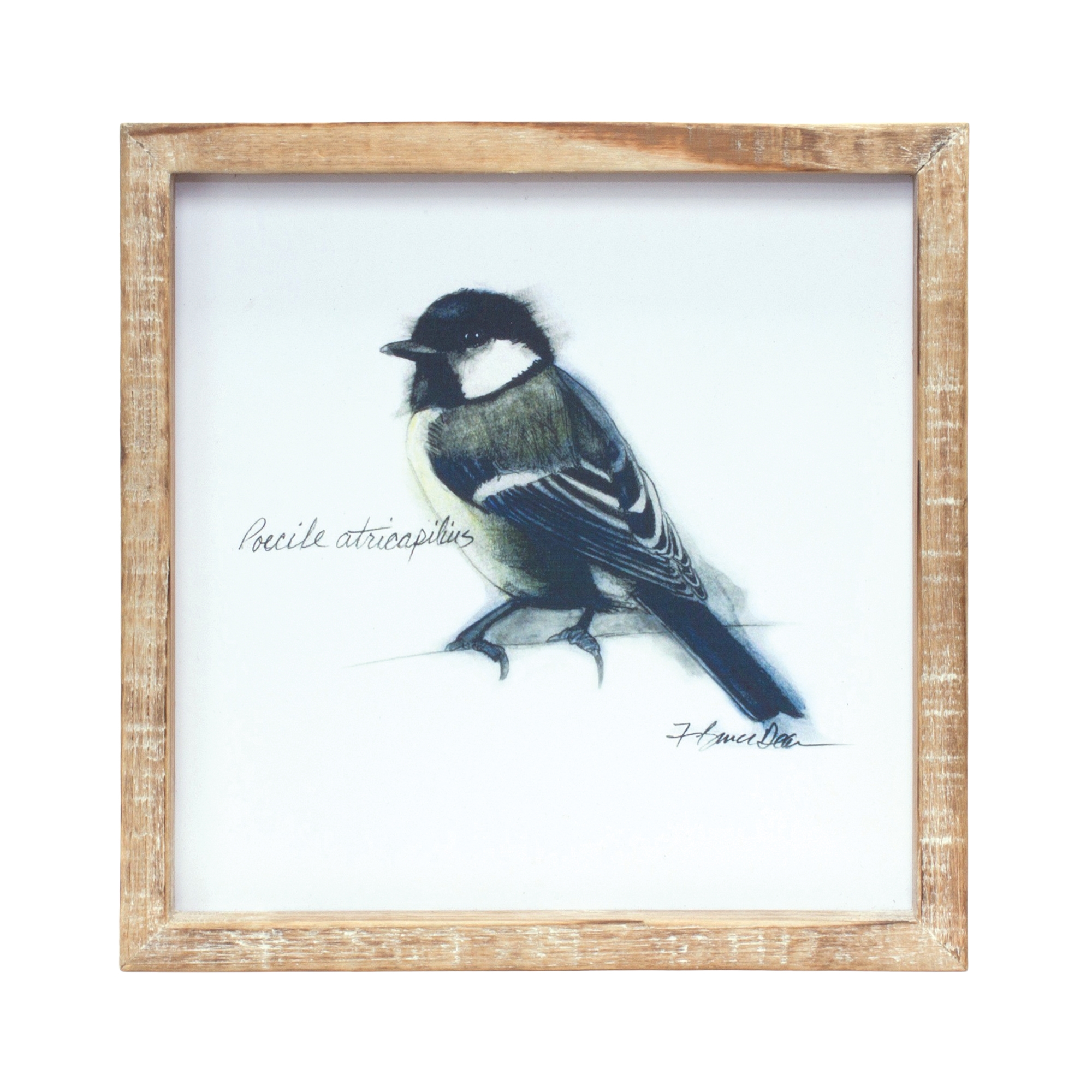 Framed Bird Print (Set of 4) 9.5"SQ MDF/Wood - Image 5