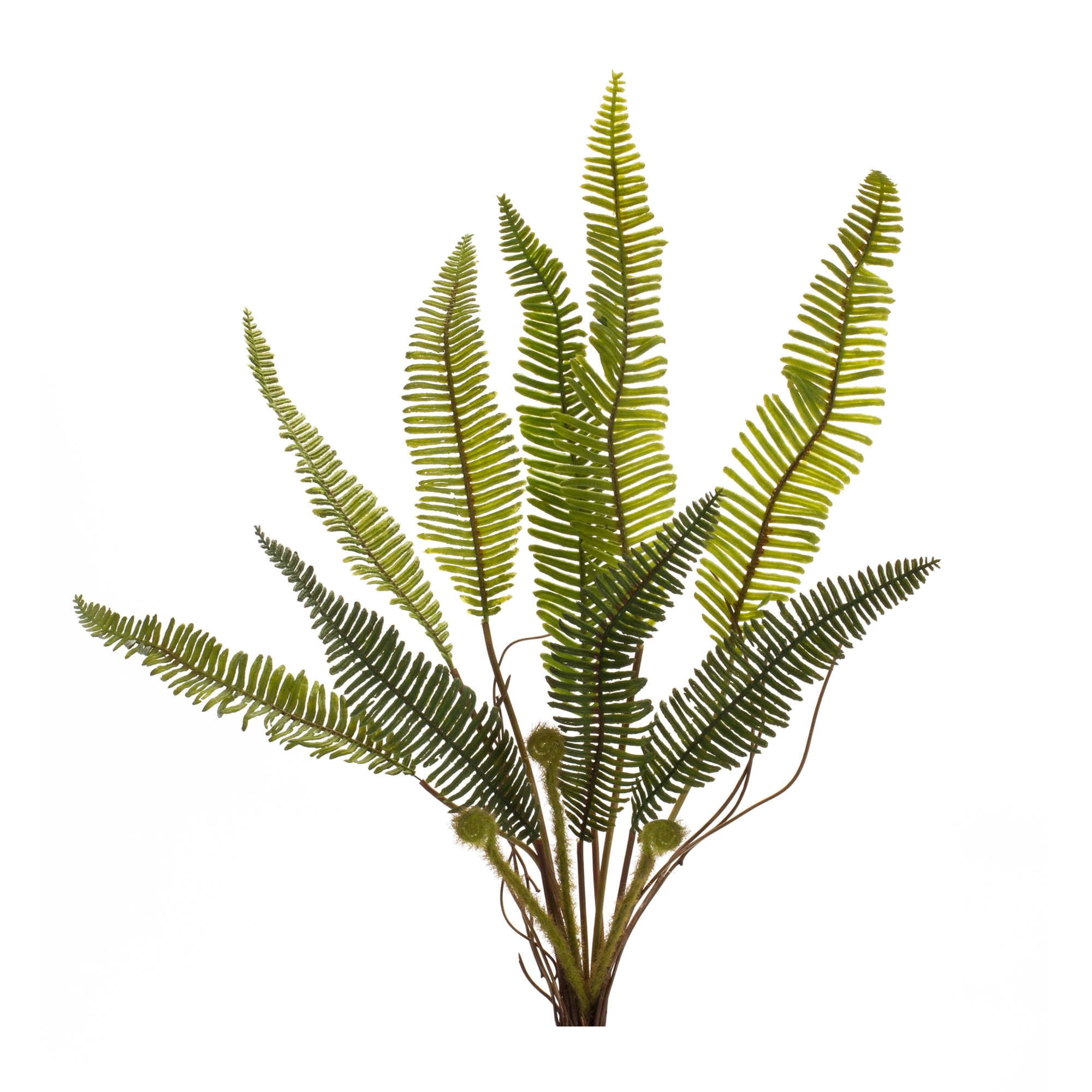 Fern Plant (Set of 6) 17.5"H Plastic - Image 2