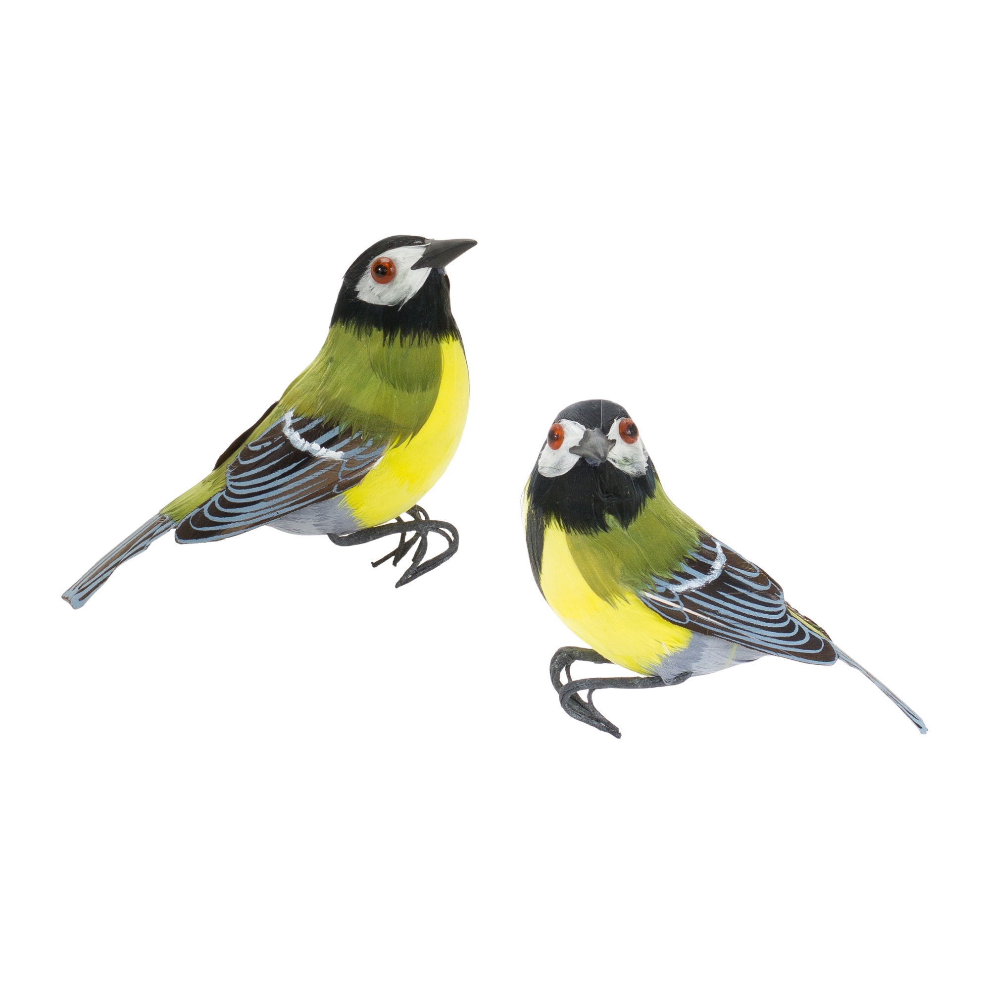 Bird (Set of 12) 3"H, 3.5"H Foam/Feather