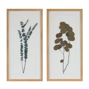 Framed Foliage (Set of 2) 14"L x 27.5"H Wood/Paper