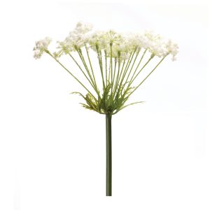 Queen Anne's Lace Stem (Set of 2) 29"H Plastic