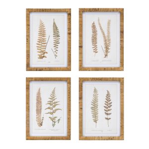 Framed Fern Print (Set of 4) 17.75"SQ Wood/MDF/Glass