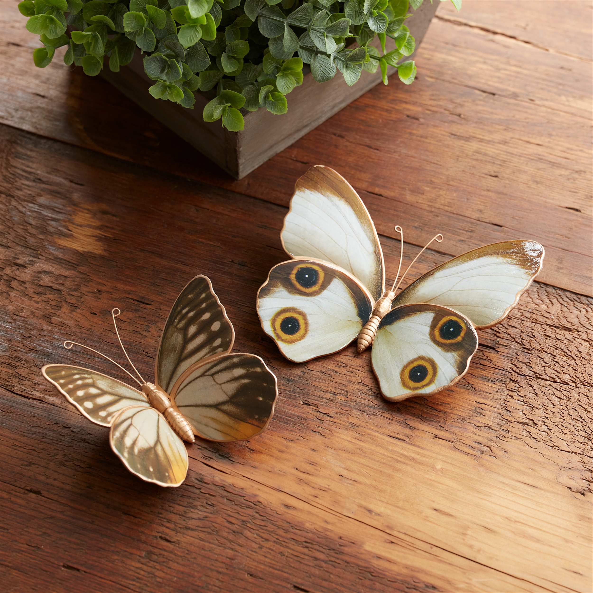 Butterfly (Set of 2) 4"L, 5"L Resin - Image 2