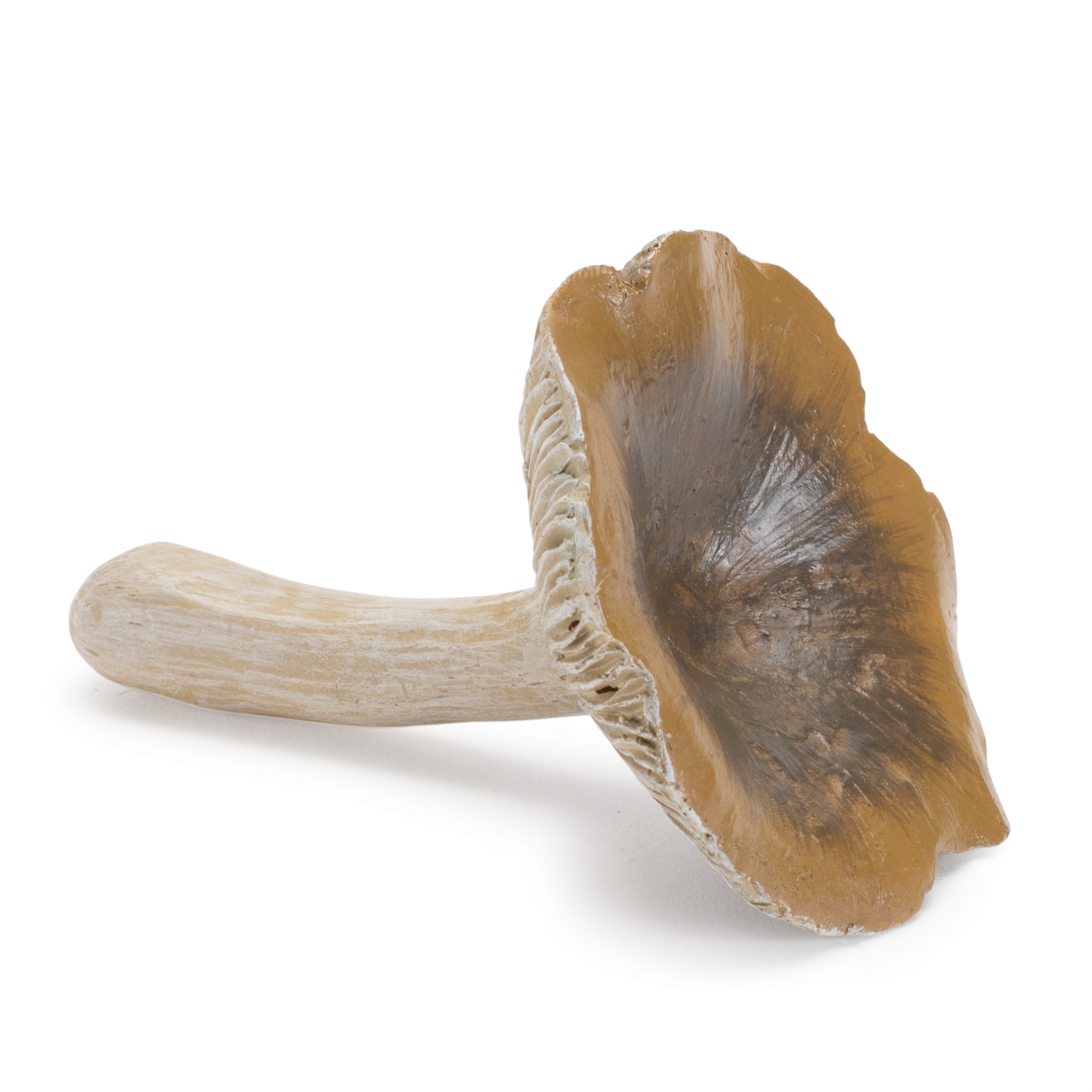 Mushroom (Set of 12) 3"H Resin - Image 6