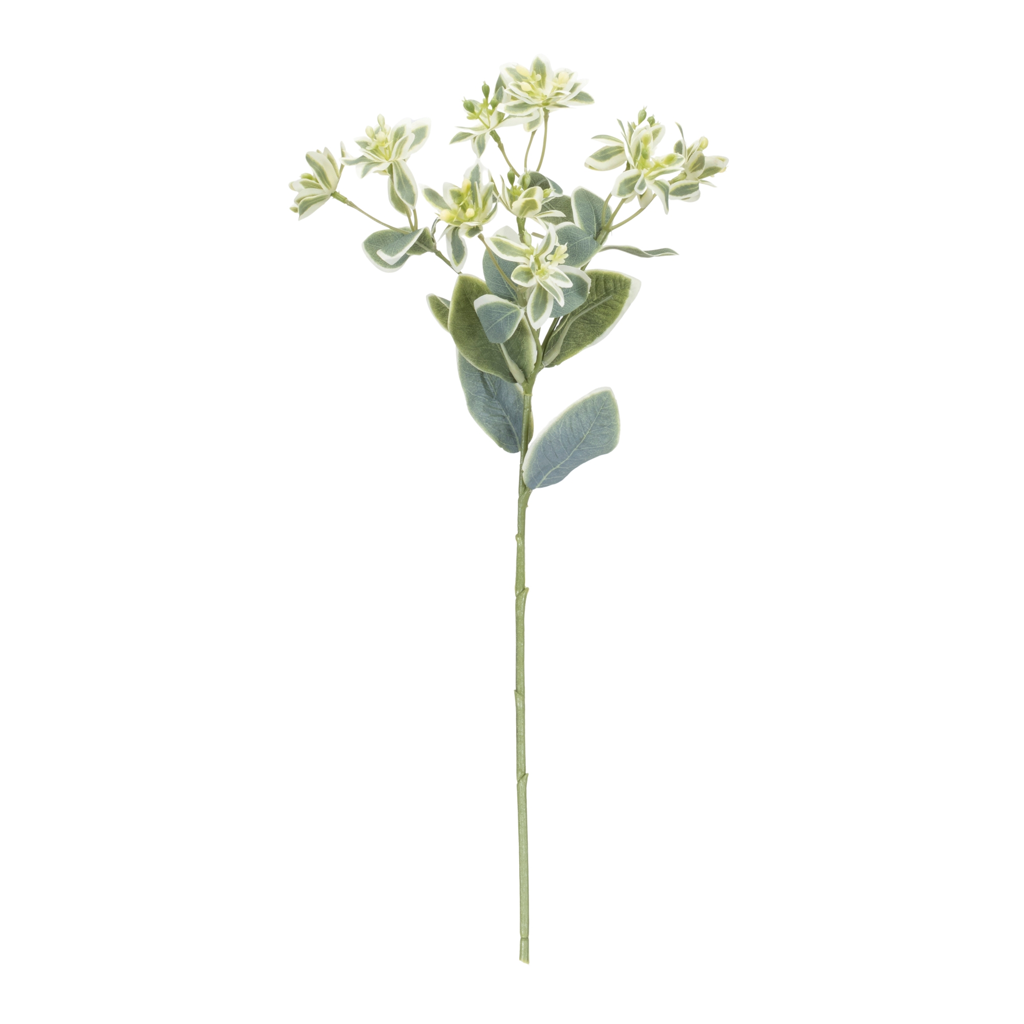 Euphorbia Spray (Set of 6) 18.5"H Polyester - Image 2