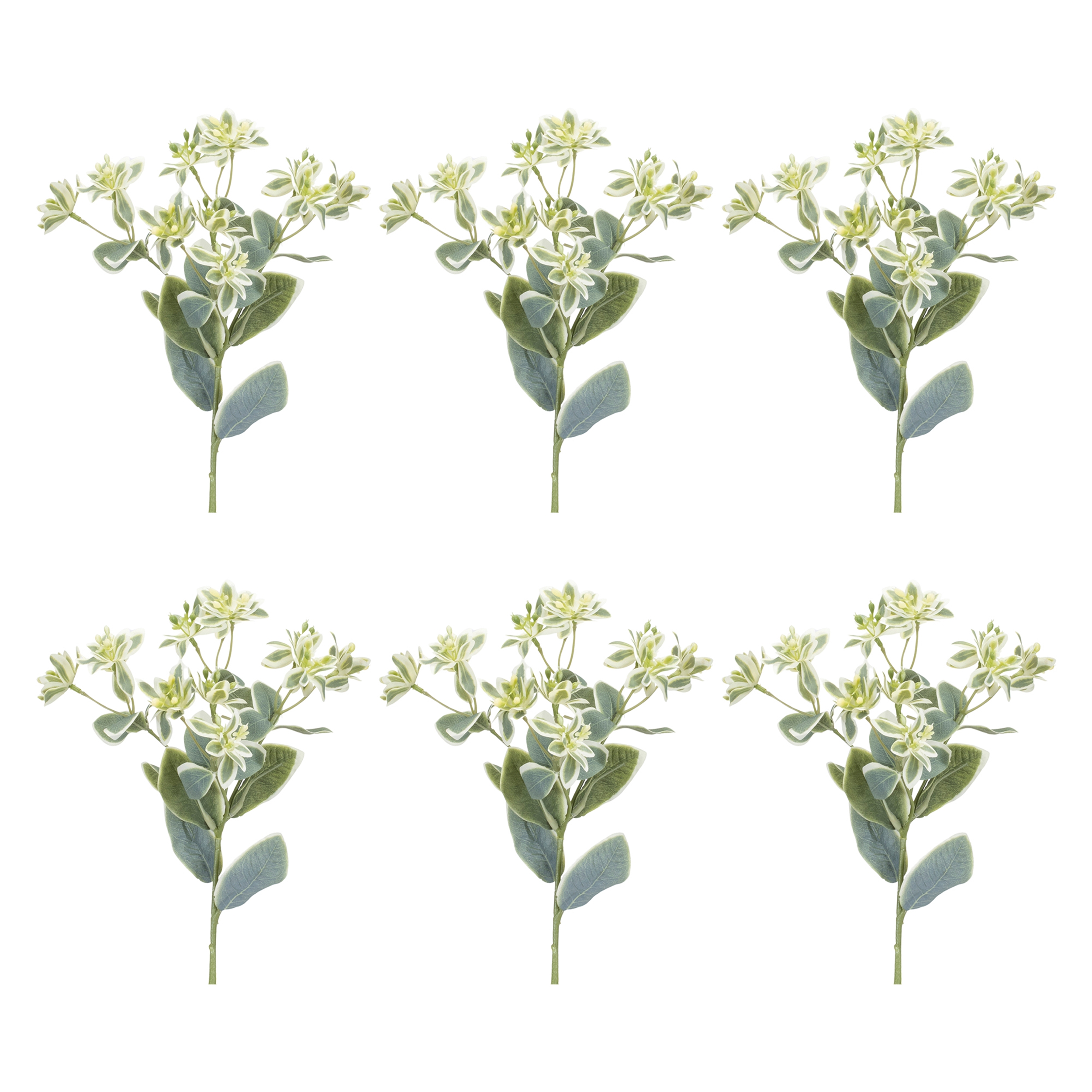 Euphorbia Spray (Set of 6) 18.5"H Polyester - Image 3