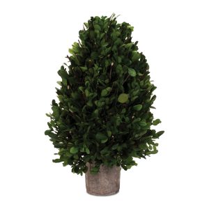 Boxwood Topiary 15.5"H Boxwood/Foam