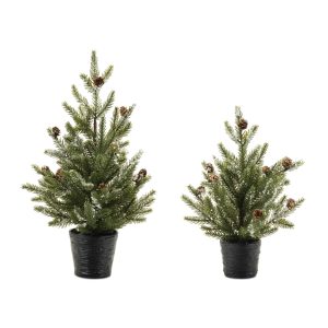 Potted Mini Pine Tree (Set of 2) 15"H, 20"H Plastic