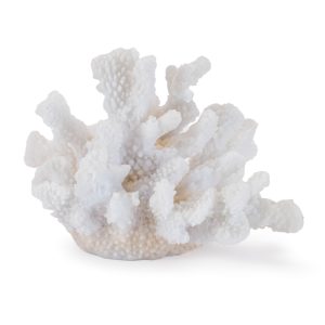 Coral (Set of 4) 4.5"H Resin