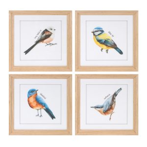 Framed Bird Print (Set of 8) 9.75"SQ MDF/Glass/Paper