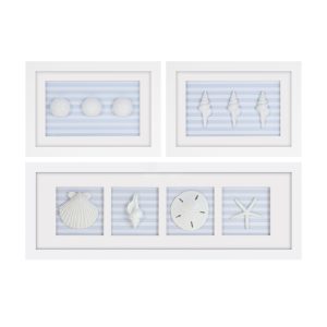 Framed Sand Dollar and Shells Print (Set of 3) 13"L x 9"H, 26.5"L x 9"H Plastic/Resin