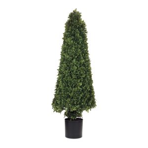 Potted Boxwood Cone Topiary 51"H Iron