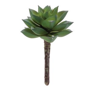 Succulent (Set of 12) 4.25"H Plastic