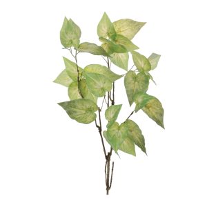 Anthurium Leaf Branch (Set of 4) 40"H Polyester