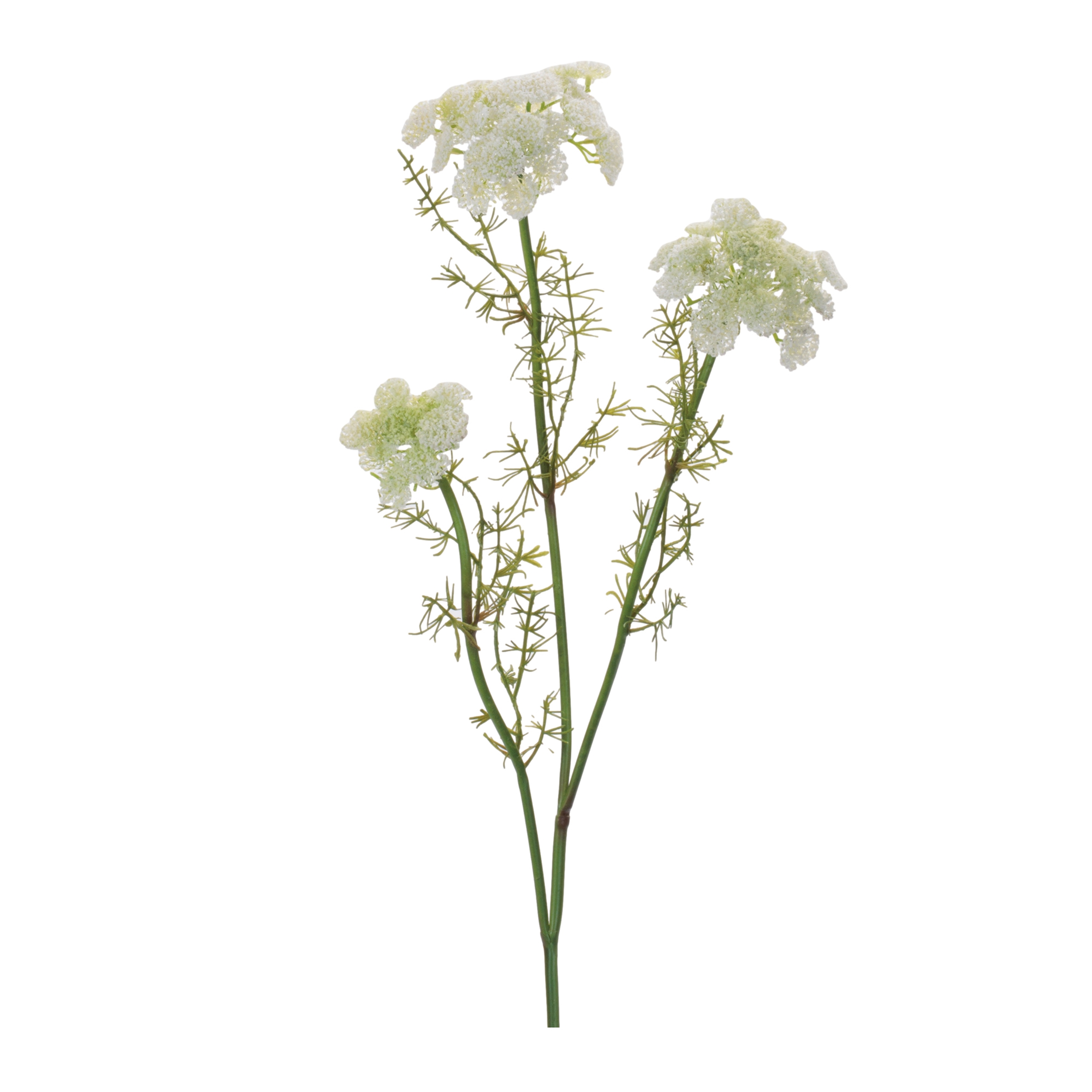 Queen Anne's Lace Spray (Set of 6) 29"H Plastic