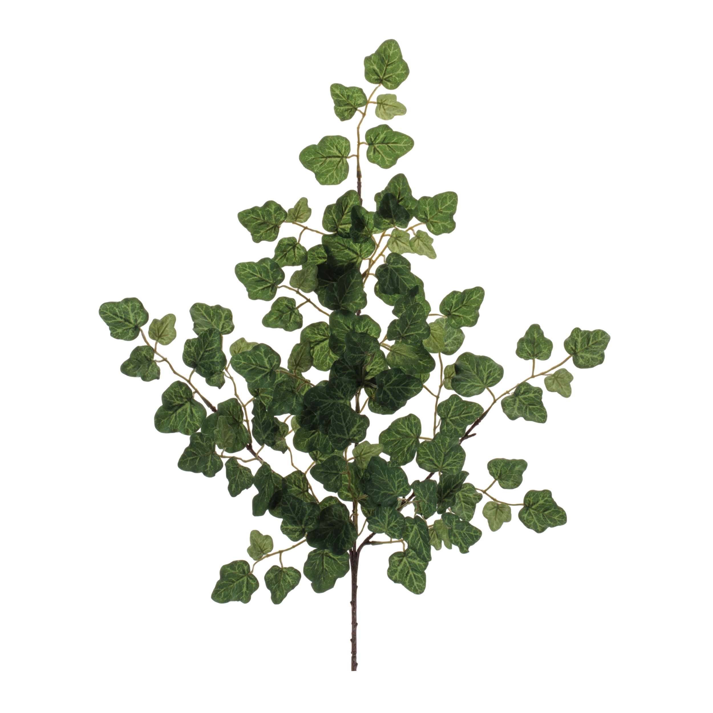 Ivy Spray (Set of 6) 25"H Polyester